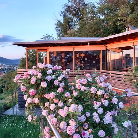 B&B Sunnesite Pratteln Εξωτερικό φωτογραφία