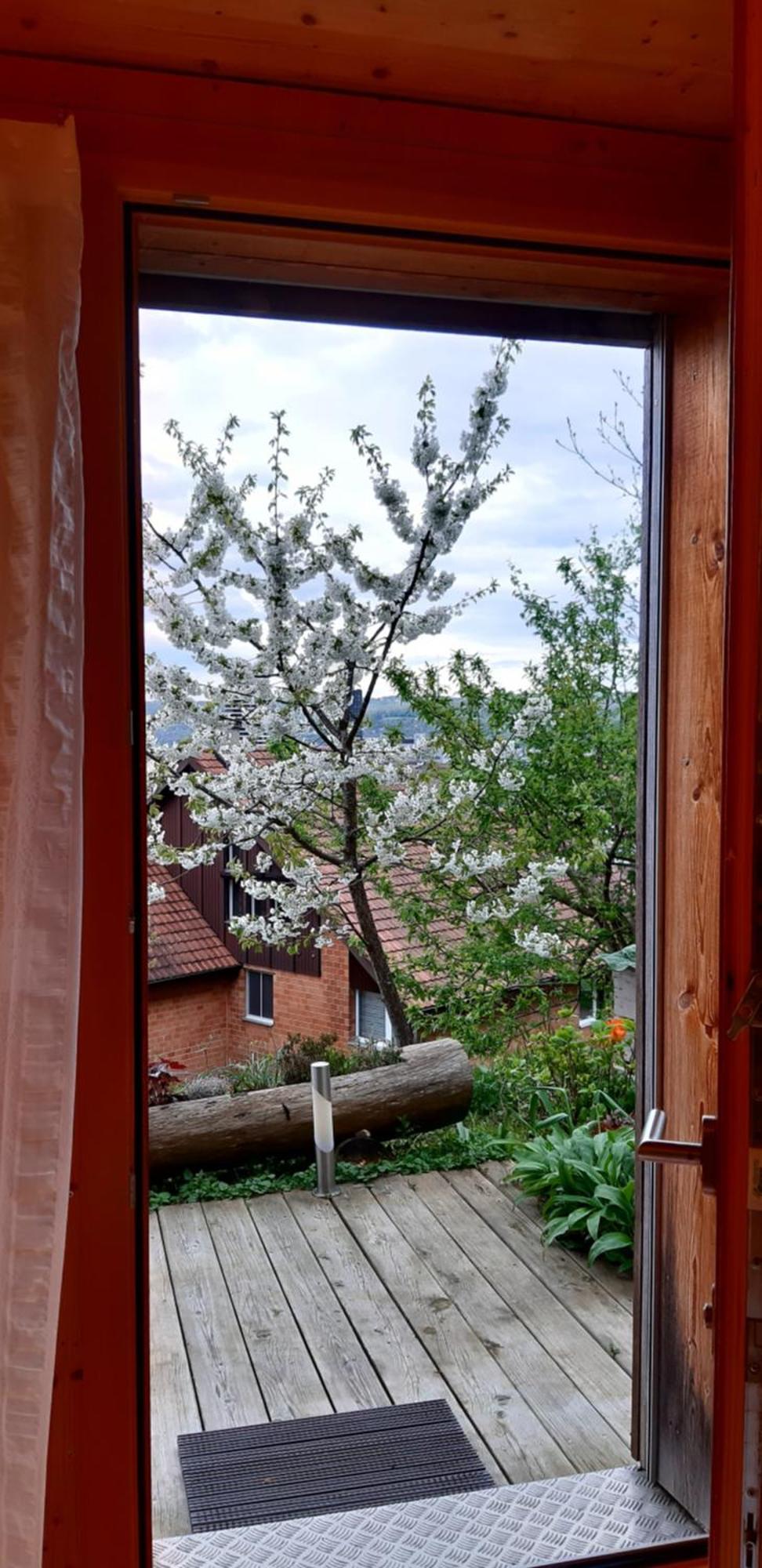 B&B Sunnesite Pratteln Εξωτερικό φωτογραφία