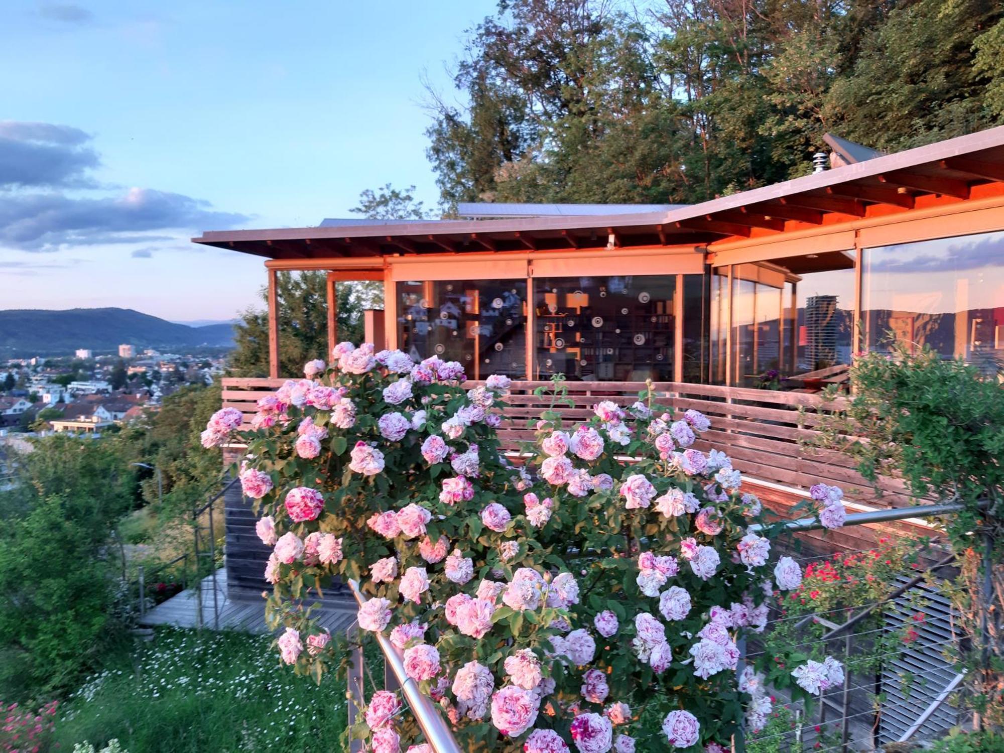 B&B Sunnesite Pratteln Εξωτερικό φωτογραφία